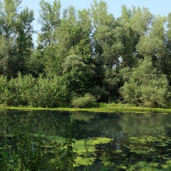 središče ob dravi